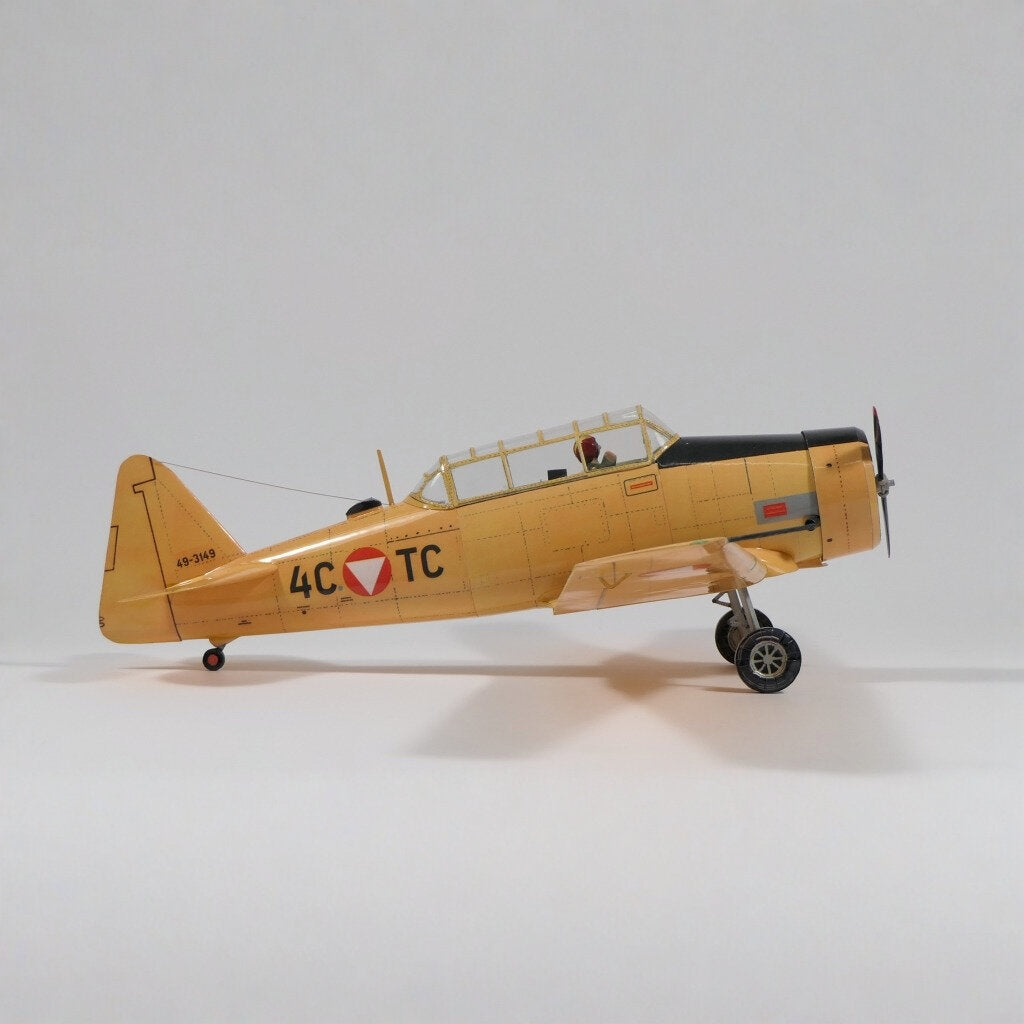 texano norteamericano