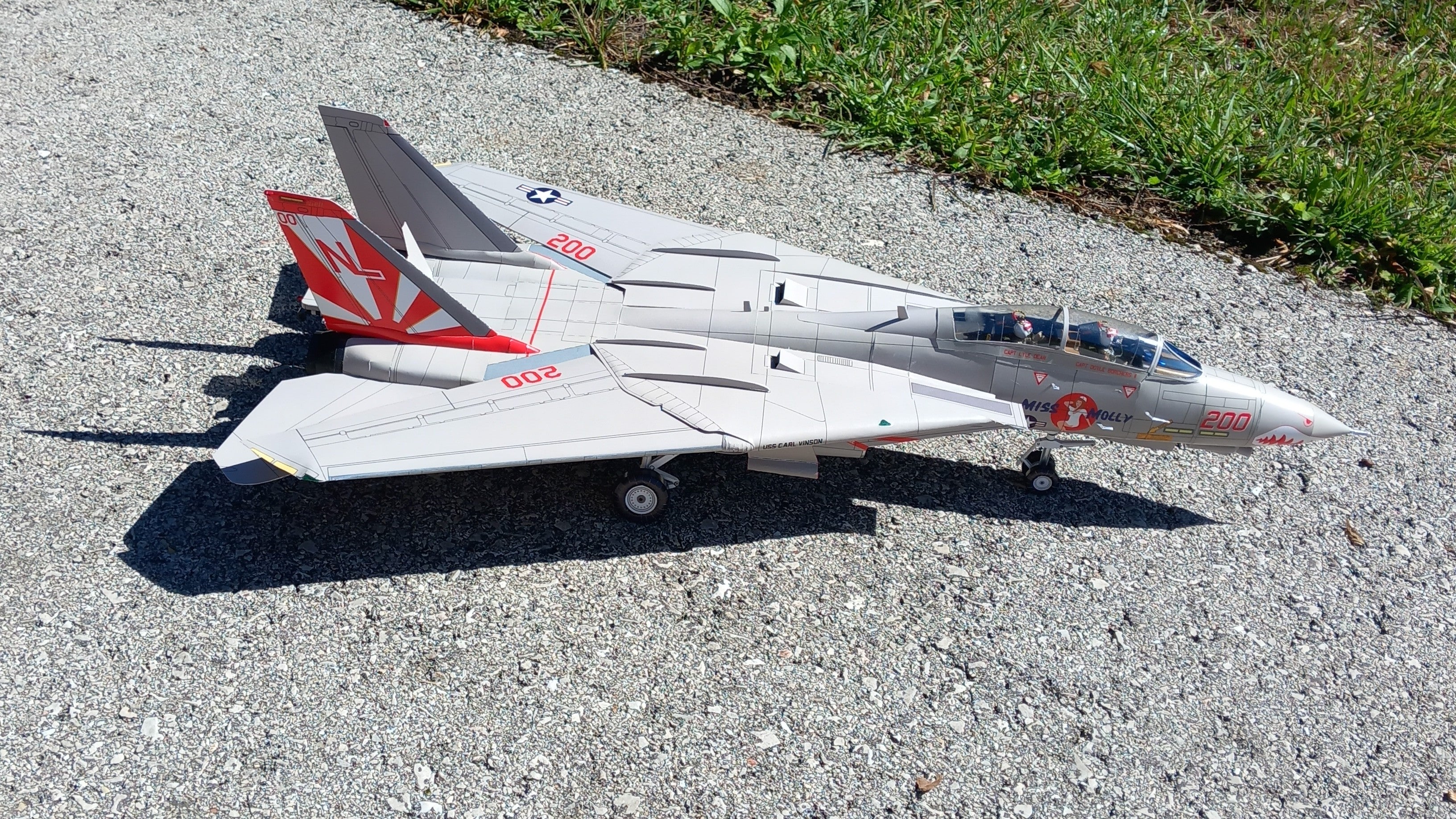 F-14 Tomcat